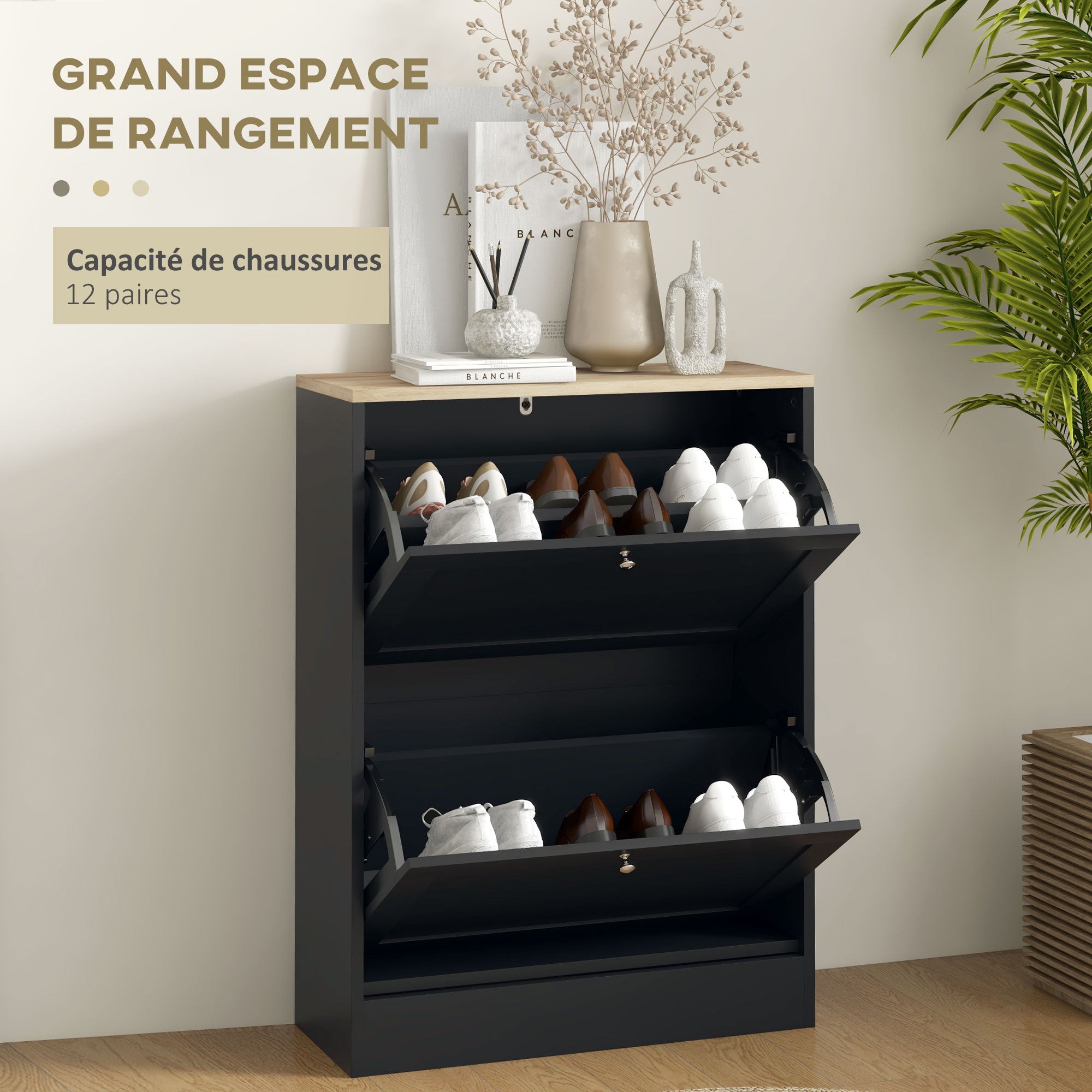 Meuble à Chaussures 12 Paires, Armoire à Chaussures Étroite Moderne avec 2 Tiroirs Rabattables et Étagères Réglables, pour Couloir et Entrée, 60 x 23,5 x 80 cm, Noir