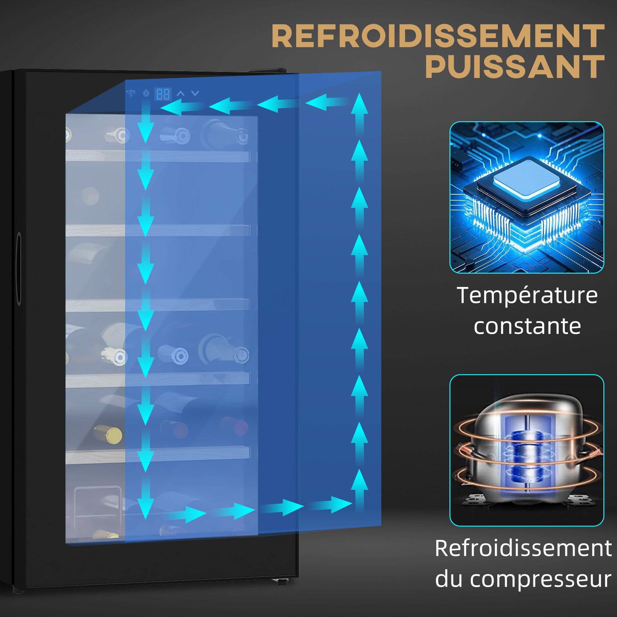 Cave à vin 24 bouteilles 65L, réfrigérateur à vin silencieux température réglable 5-20°, avec éclairage LED, panneau de commande tactile, haute performance 41dB noir