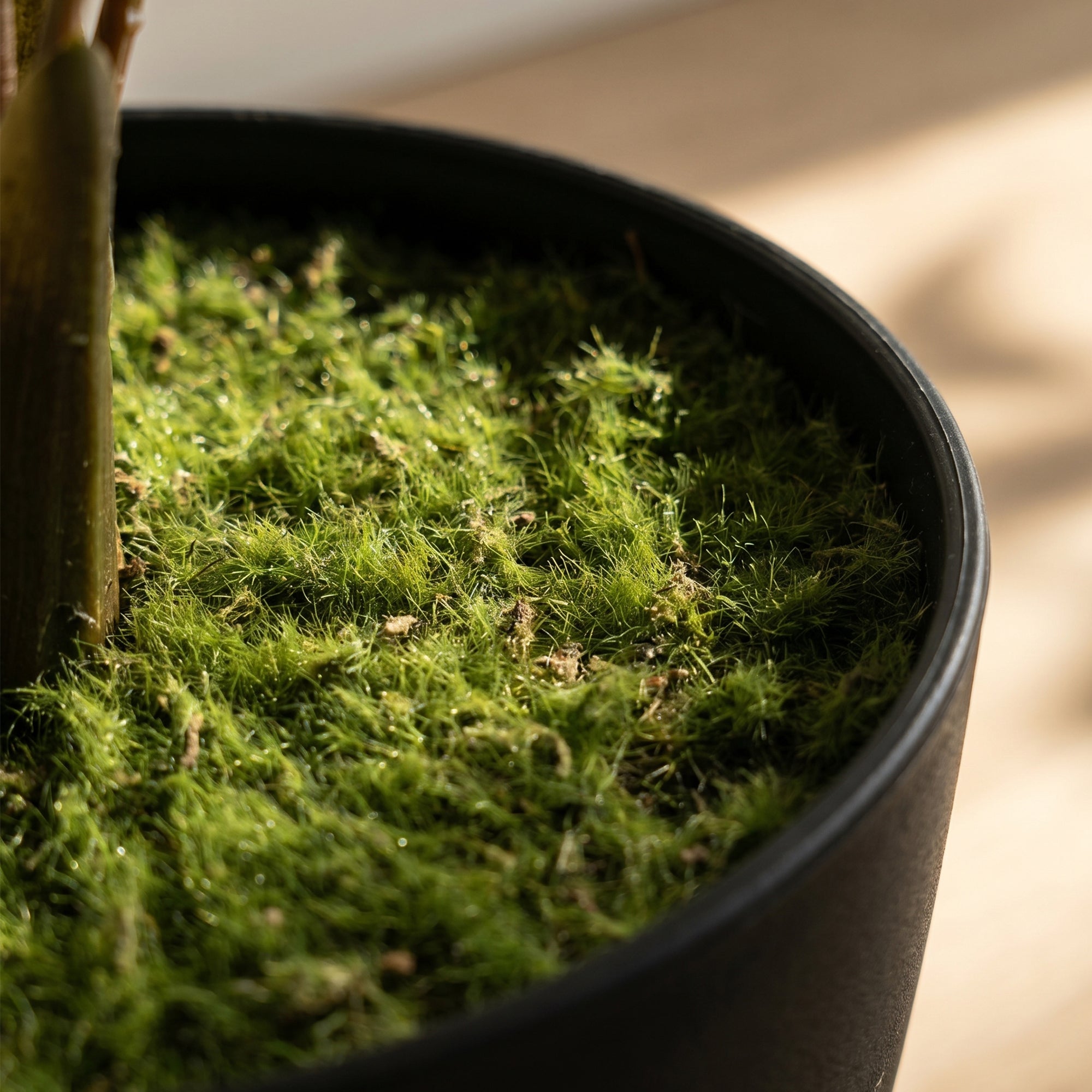 Plante artificielle intérieure 90 cm fougère arbre artificiel en pot avec branches flexibles, fausse plante vert décoration intérieure et extérieure pour maison, bureau, salon, chambre