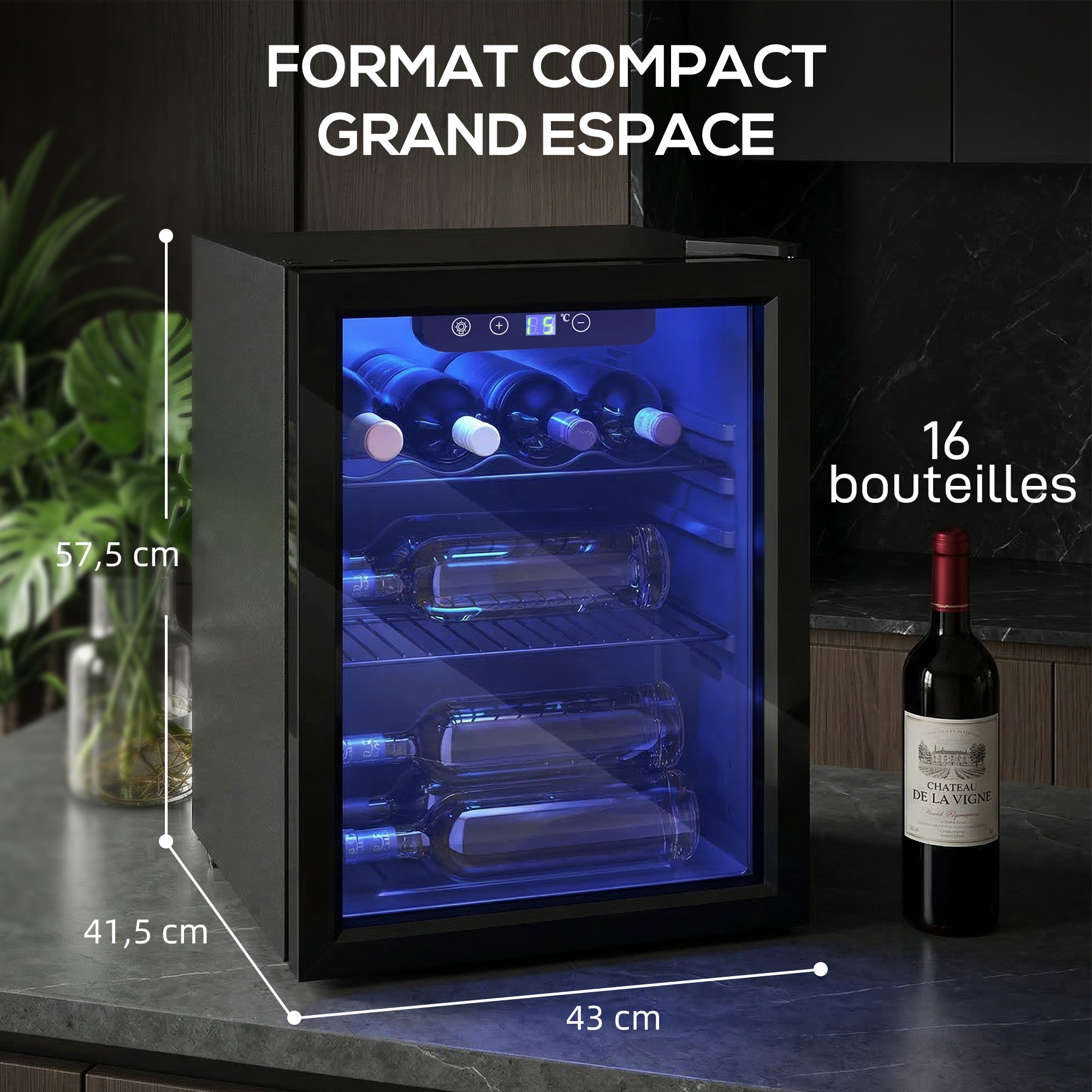 Cave à vin 16 bouteilles 48L, réfrigérateur à vin et boissons avec température réglable 4-16 °C, porte réversible en verre trempé double, éclairage LED et étagère amovible, noir