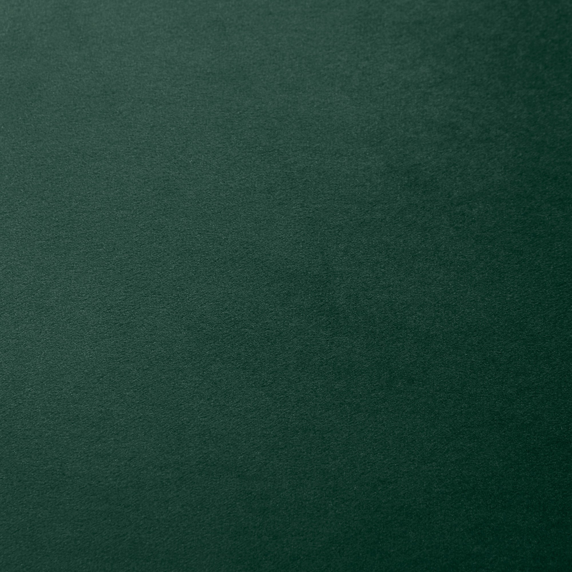 Lot de 2 chaises de Salle à Manger Chaise de Cuisine Velours Pieds métal vert dim. 52L x 54l x 79H cm