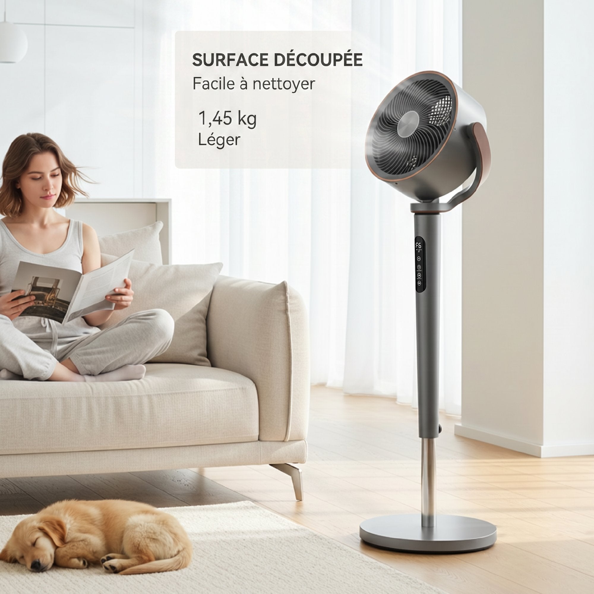 Ventilateur sur pied silencieux 20 dB pour chambre, télécommande, circulateur d'air, oscillation 70°+90°, 12 vitesses, minuterie 12H, lumière LED, moteur BLDC puissant, hauteur réglable, gris