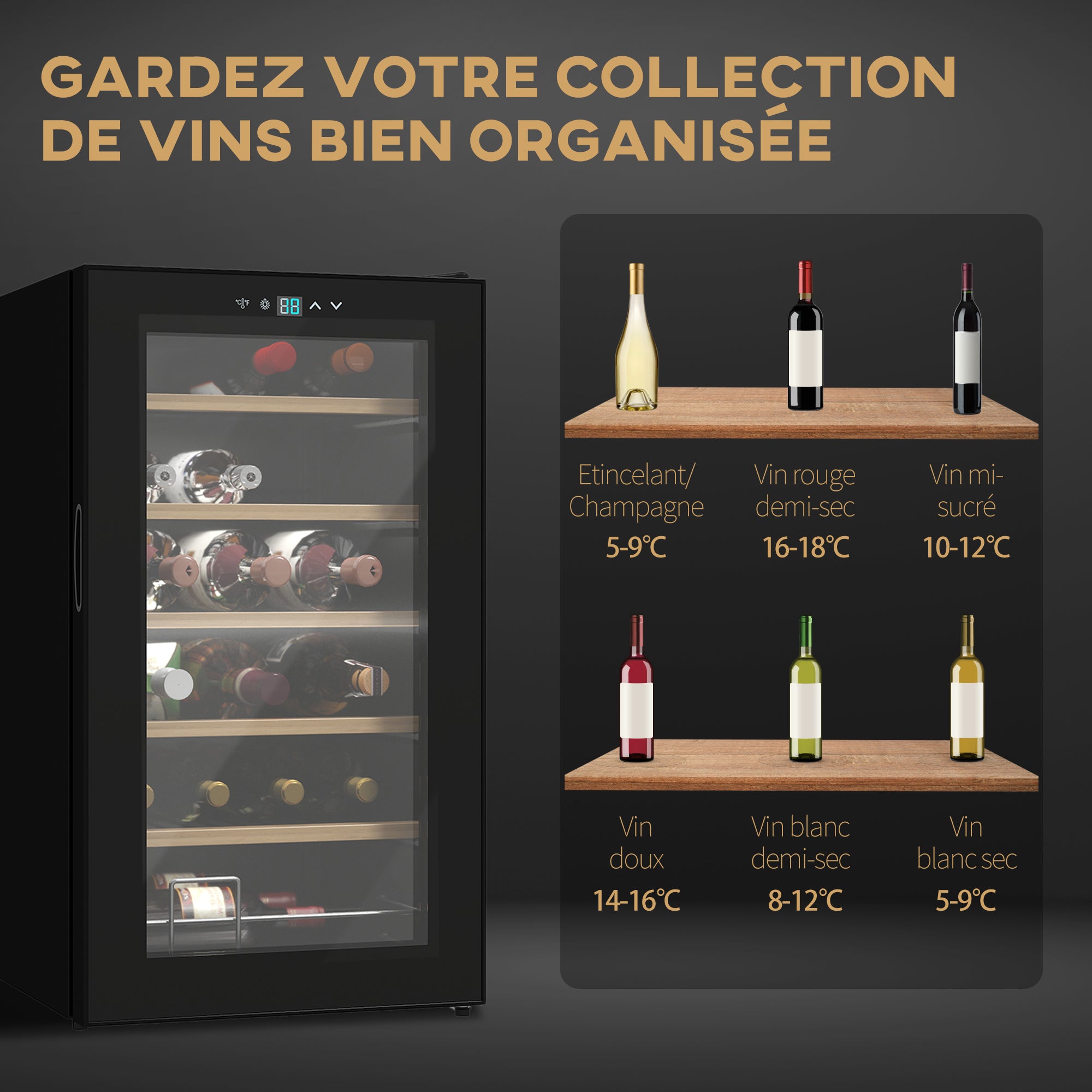 Cave à vin 24 bouteilles 65L, réfrigérateur à vin silencieux température réglable 5-20°, avec éclairage LED, panneau de commande tactile, haute performance 41dB noir