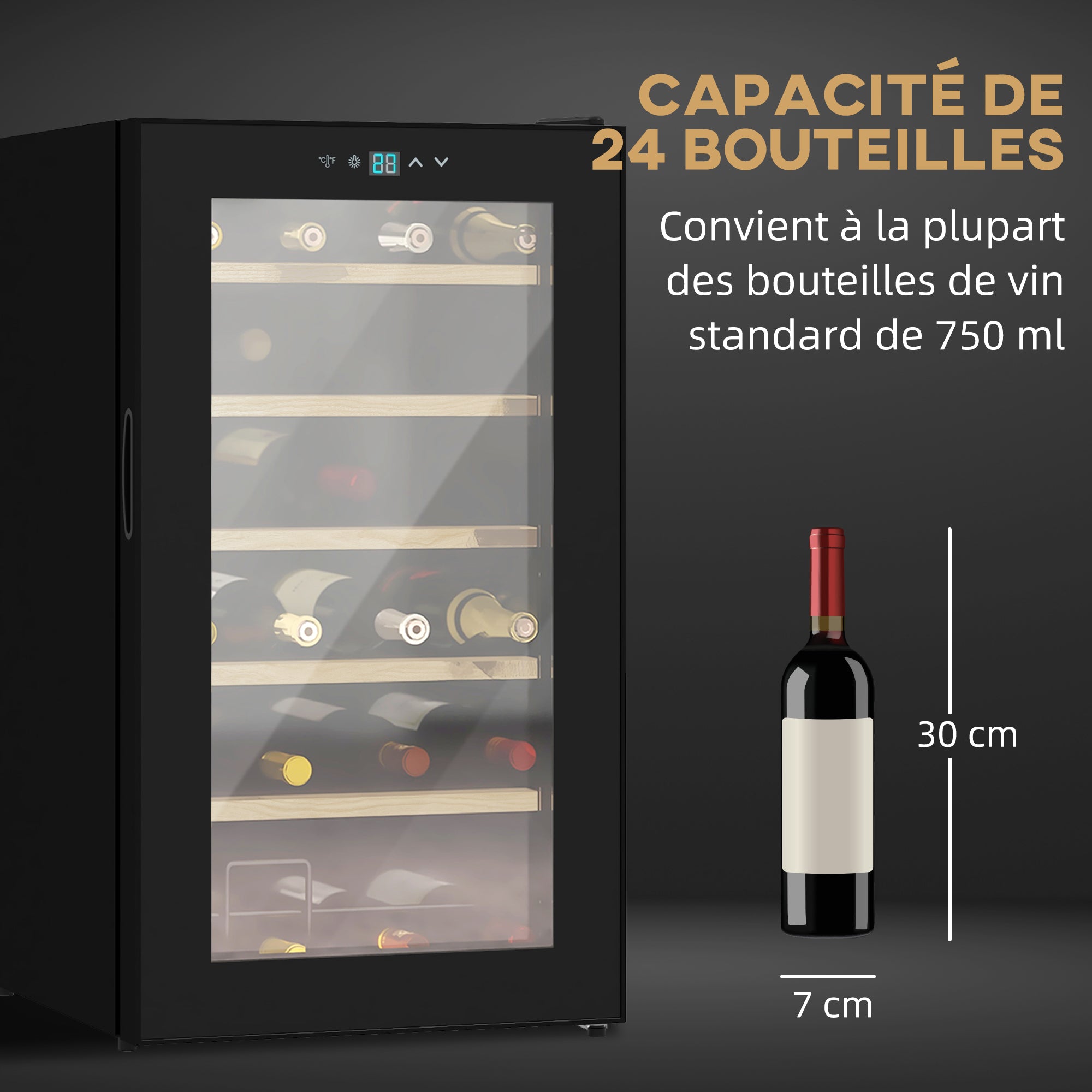 Cave à vin 24 bouteilles 65L, réfrigérateur à vin silencieux température réglable 5-20°, avec éclairage LED, panneau de commande tactile, haute performance 41dB noir